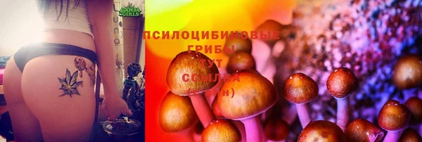гидра Абинск